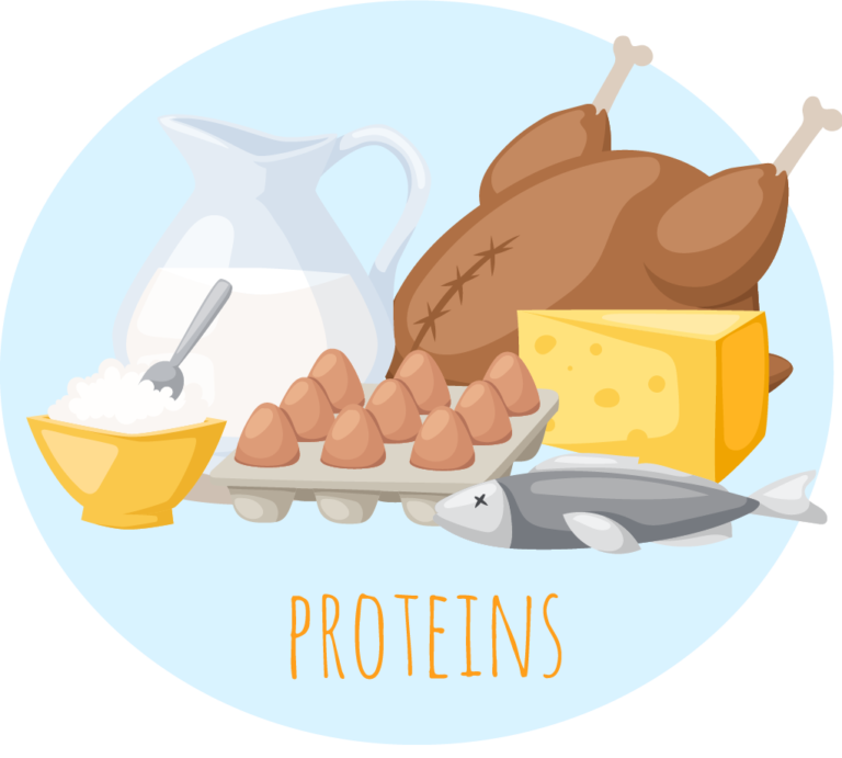 protein containing foods
